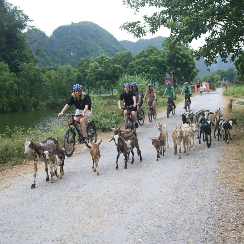 Cycling in Ninh Binh 4