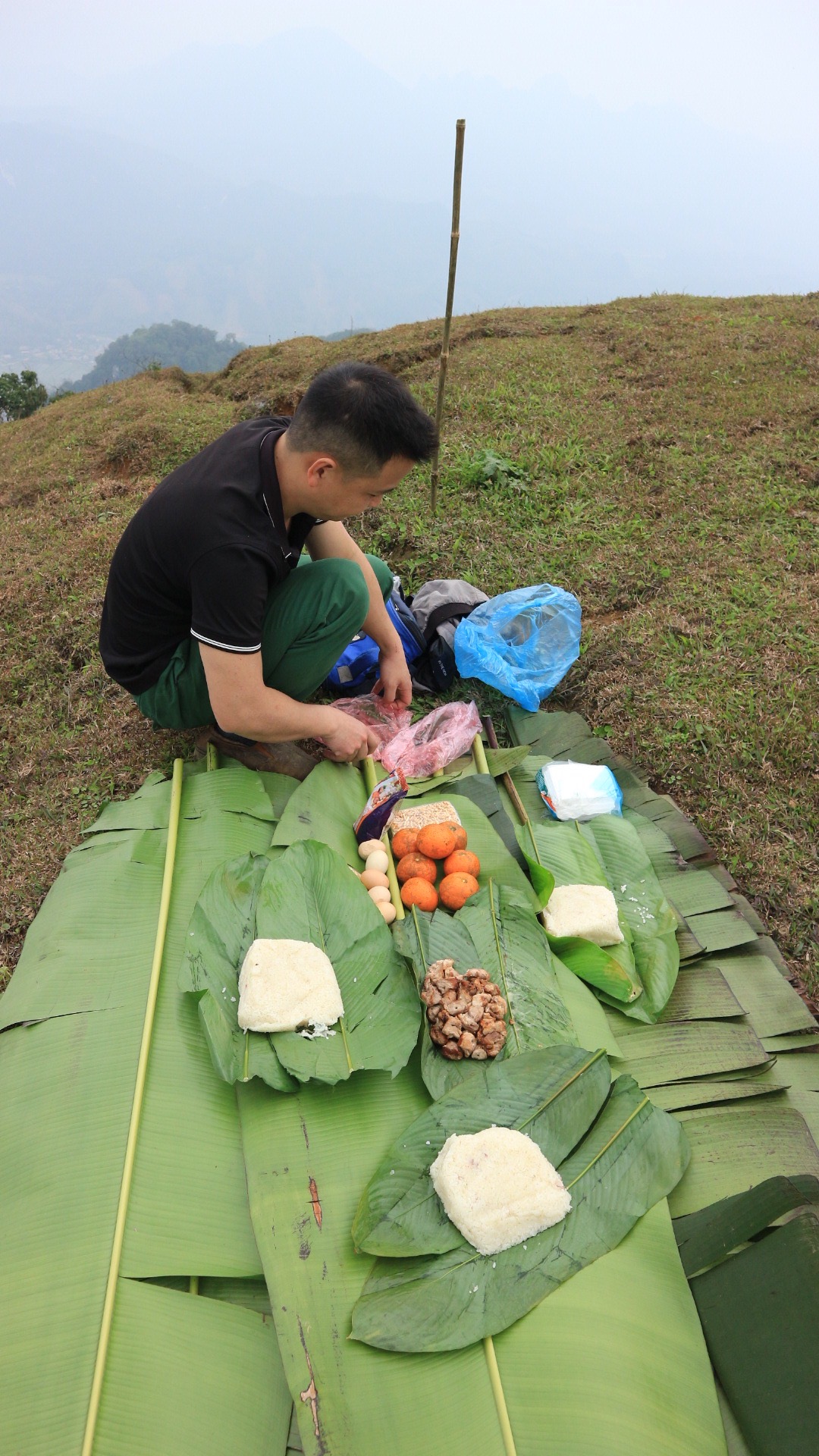 picnic lunch